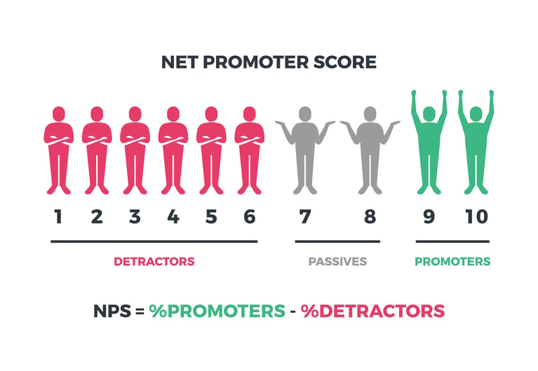 Data Analytics and Customer Loyalty - Predicting Individual NPS Scores